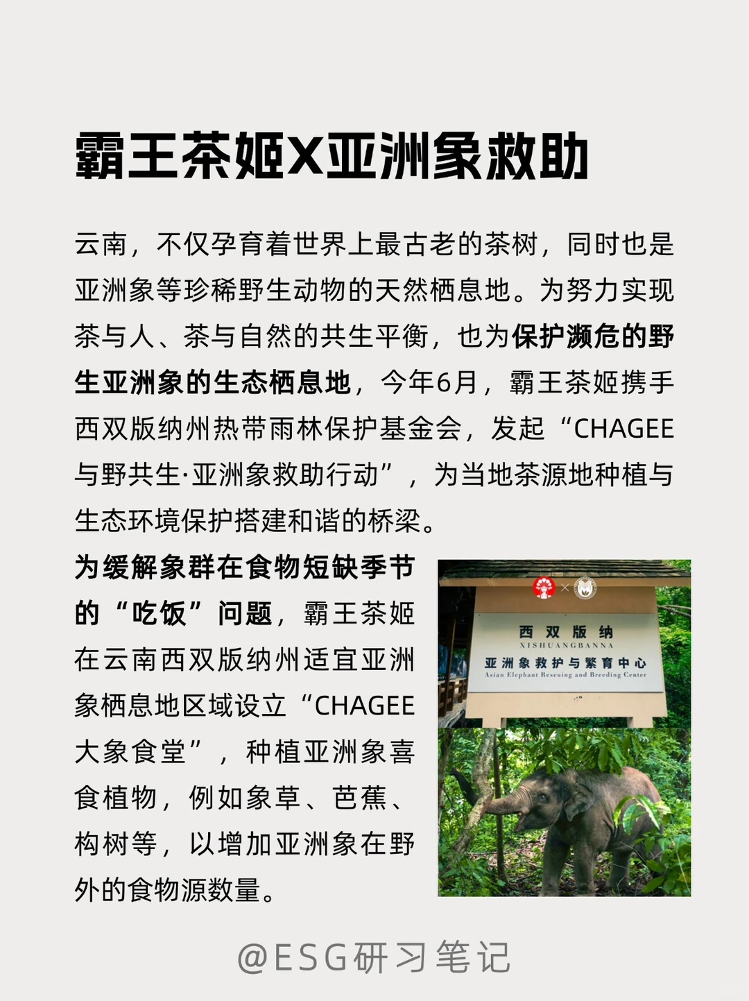 ［企业ESG创新案例］动物保护篇