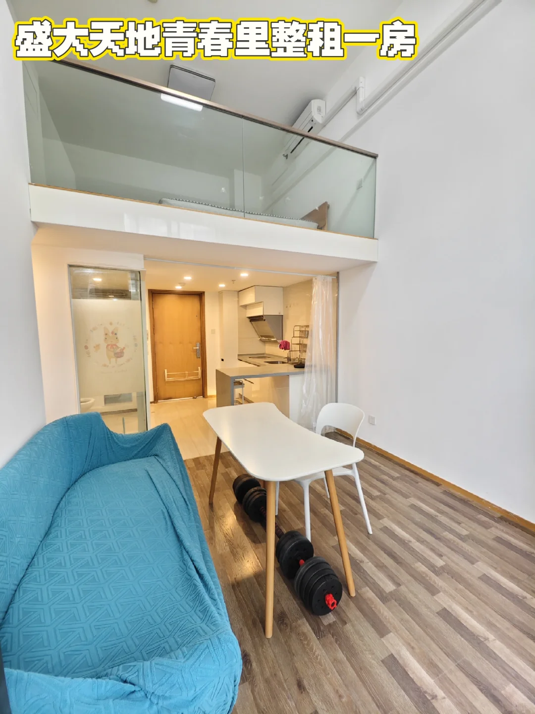 3.8K 盛大天地青春里整租loft一房看房随时