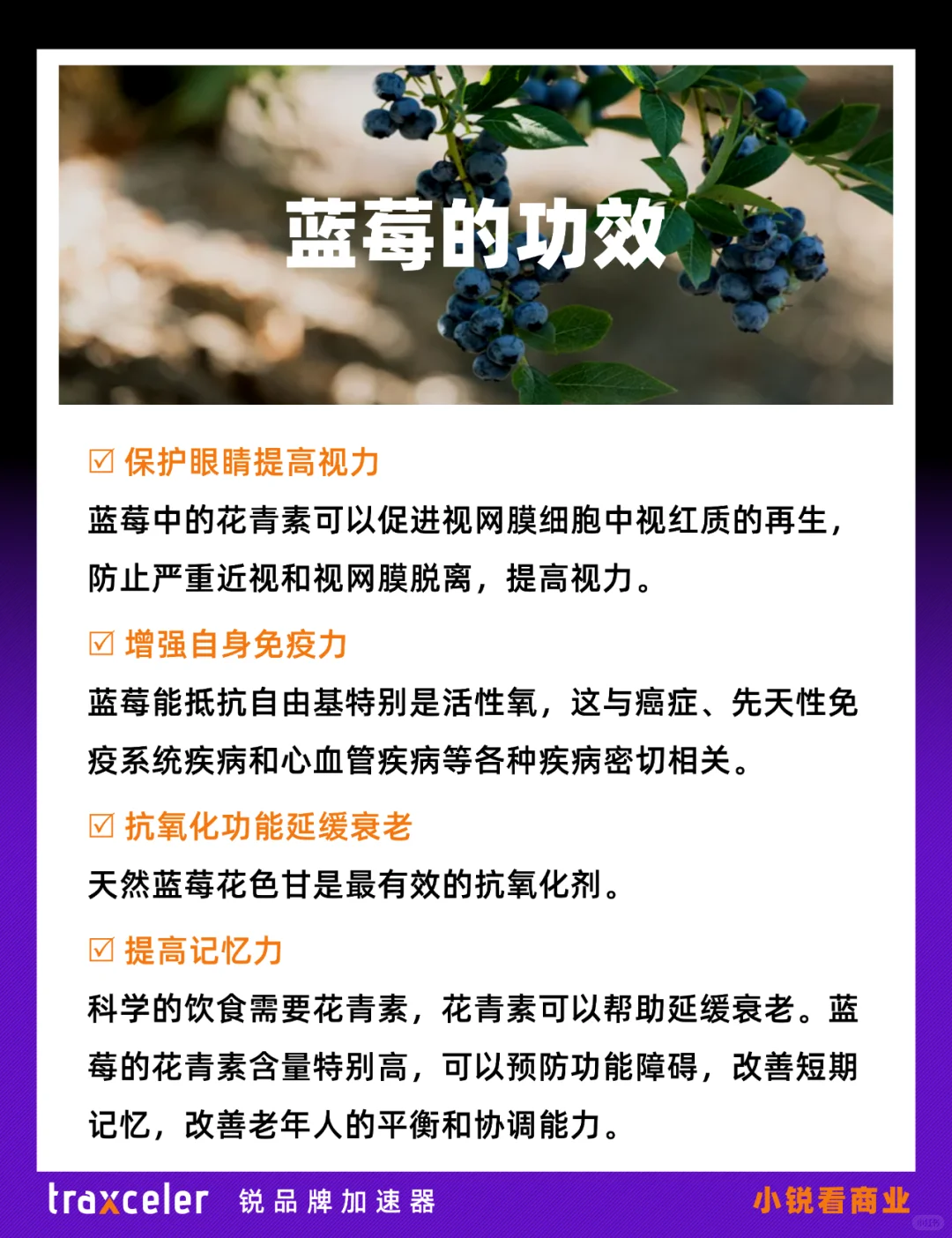 蓝莓能成为水果届的致富经吗？?行业报告