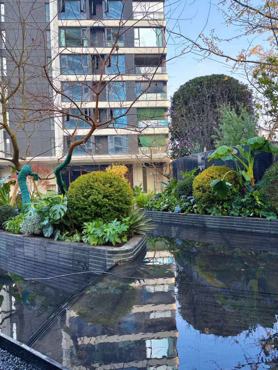 把家安在城市封面里！