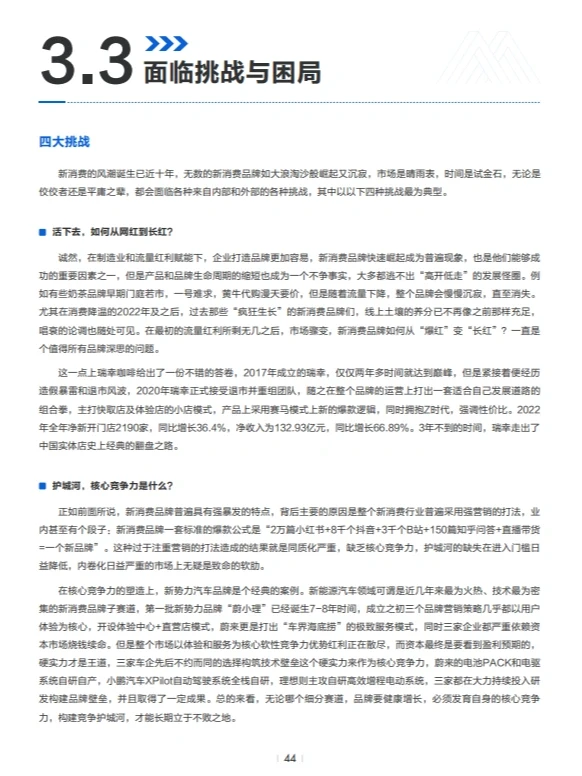 报告6丨2023新消费品牌的中国范式60页