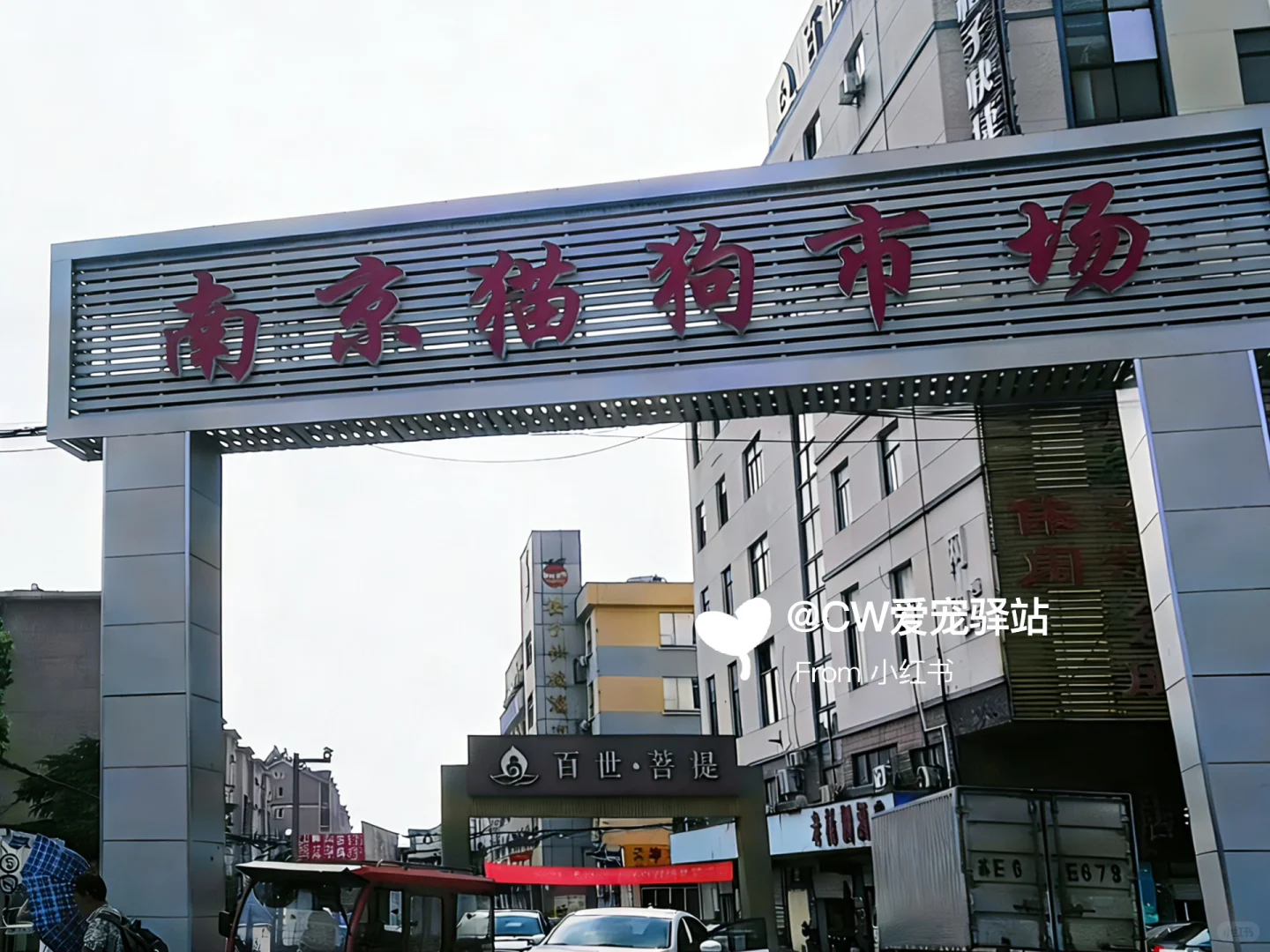 南京猫狗市场、南京花鸟市场、南京宠物市场