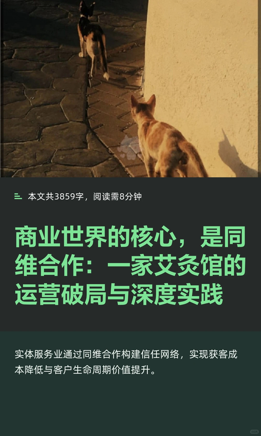 商业世界的核心，是同维合作：一家艾灸馆的