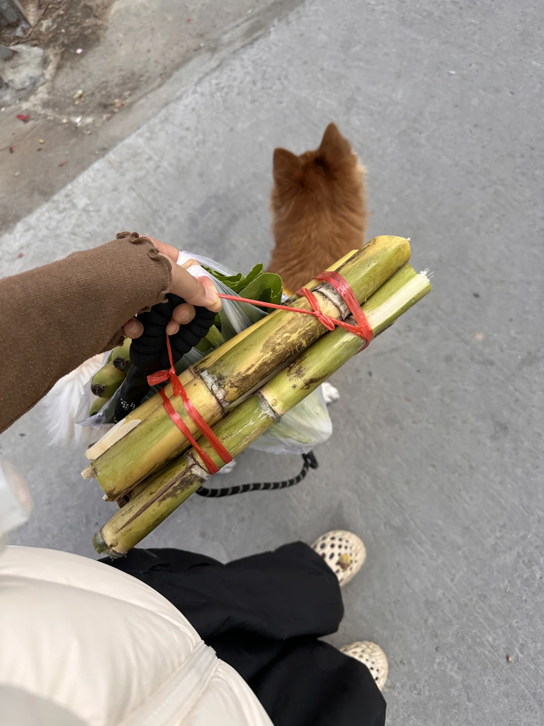 厦门幼师周末怎么过？当然是逛菜市场啊～