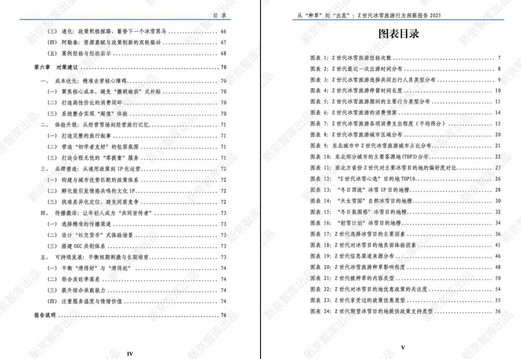 年轻人冰雪旅游行为洞察