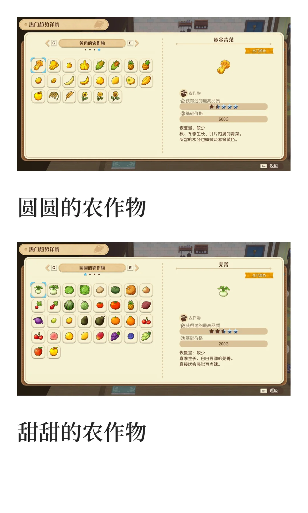 风之集市全部热门趋势物品图鉴汇总