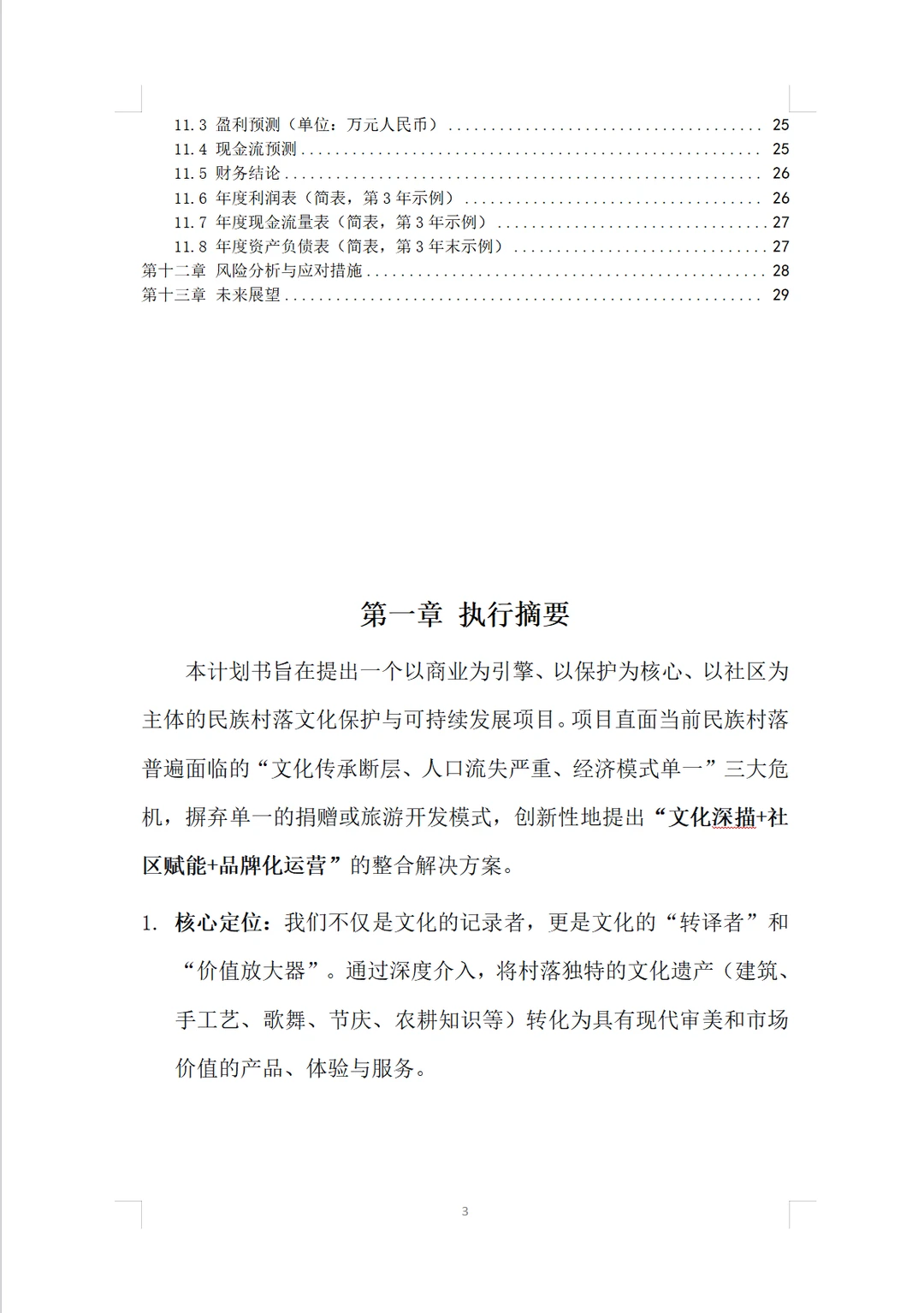 民族村落文化保护项目计划书word➕PPT