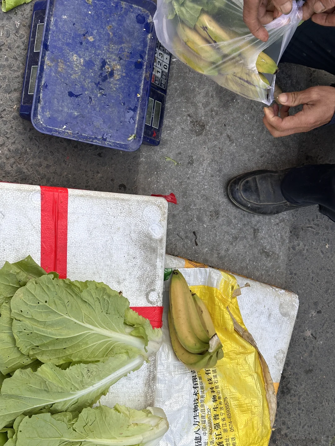 厦门幼师周末怎么过？当然是逛菜市场啊～