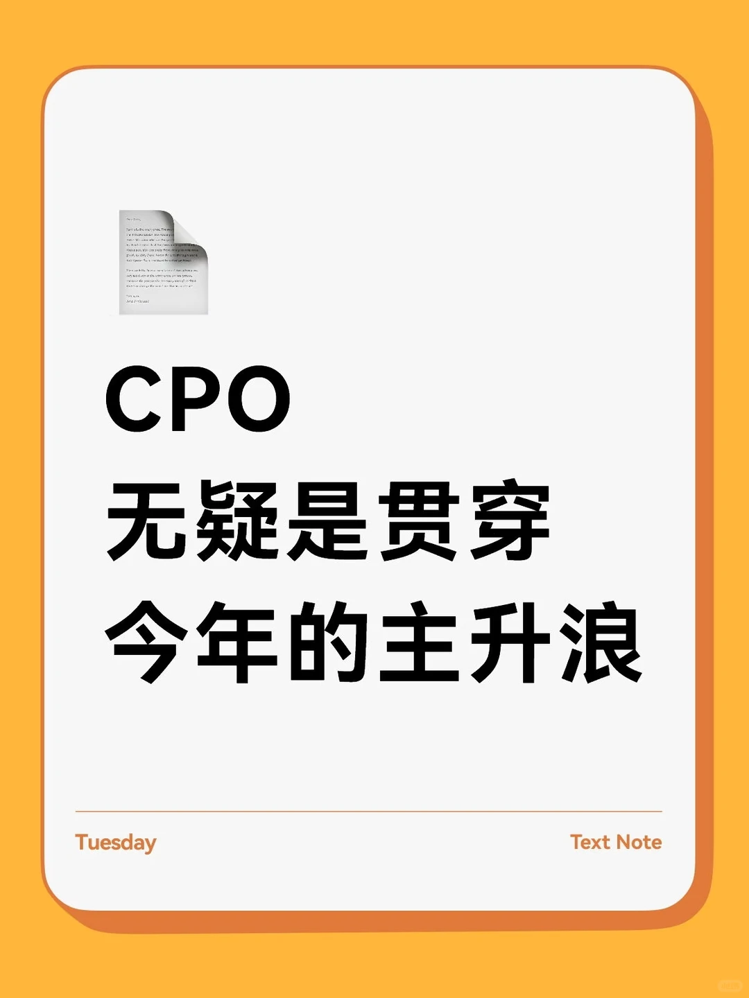 CPO，无疑是贯穿今年的主升浪