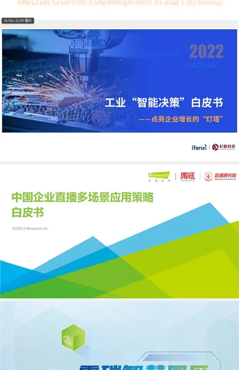 2025白皮书行业研究报告产业市场分析