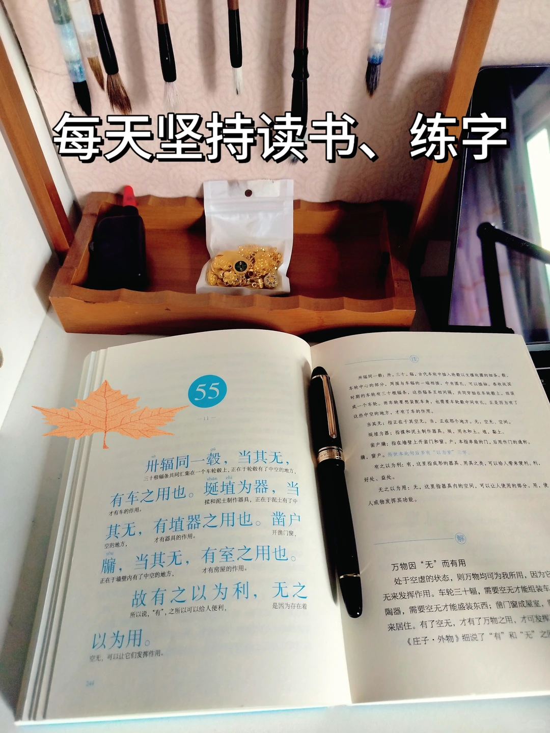 新人博主第10天｜坚持做自媒体，我走出了圈