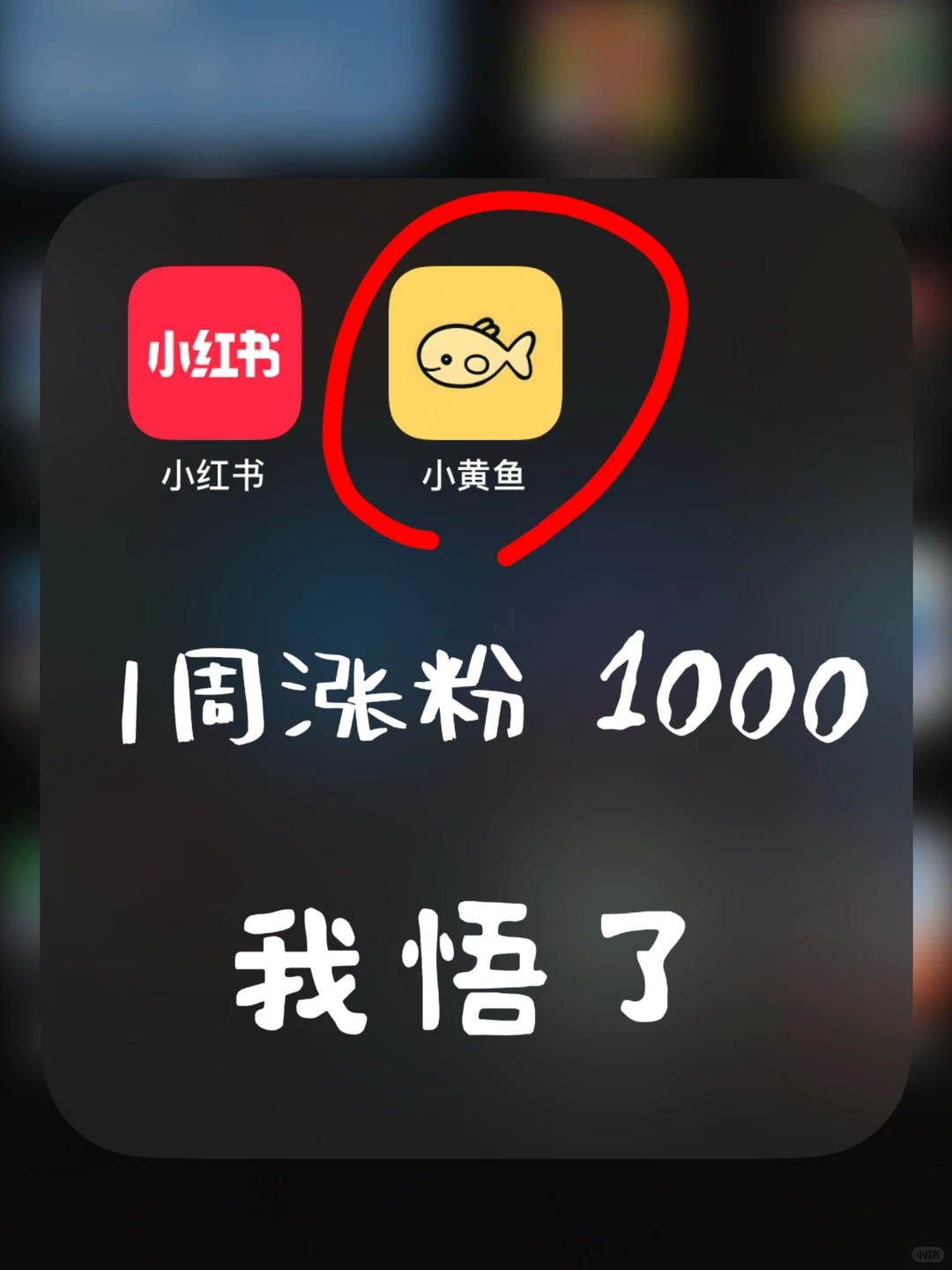 家人们谁懂啊‼️我用它一直涨?