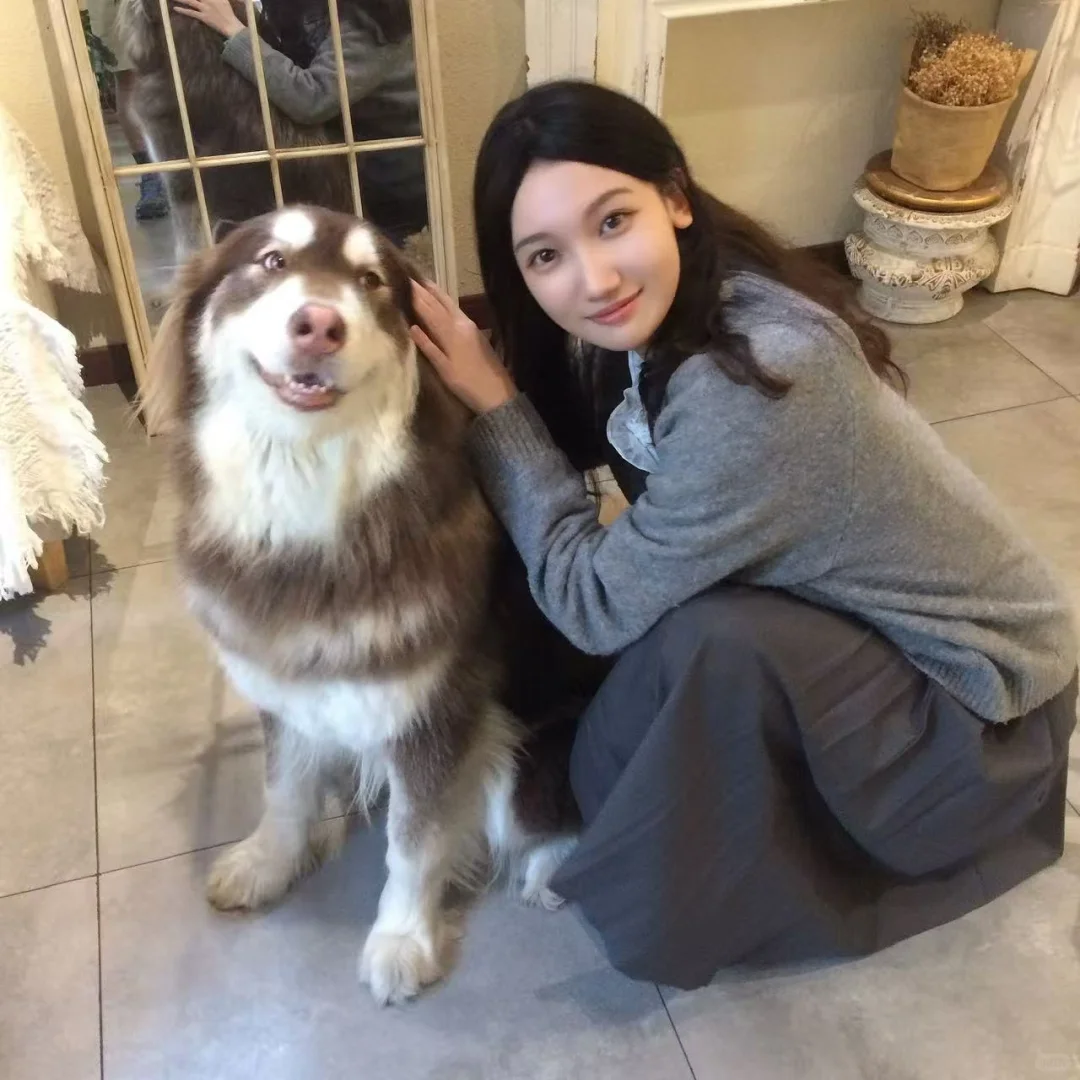 机械专业学姐的腾讯阿里双offer攻略?‍?