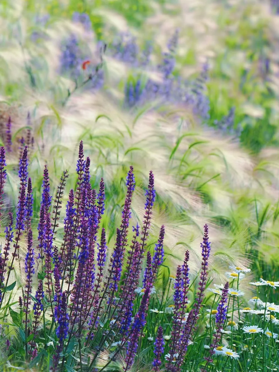 金钱心理学《财经日报2025.12.17》分享