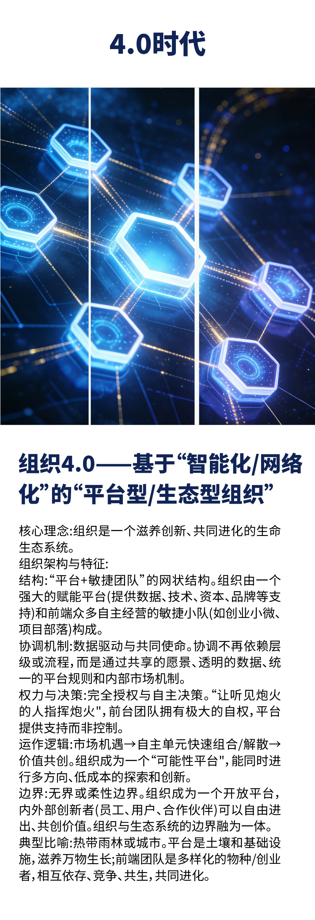 组织1.0-4.0形态进化史