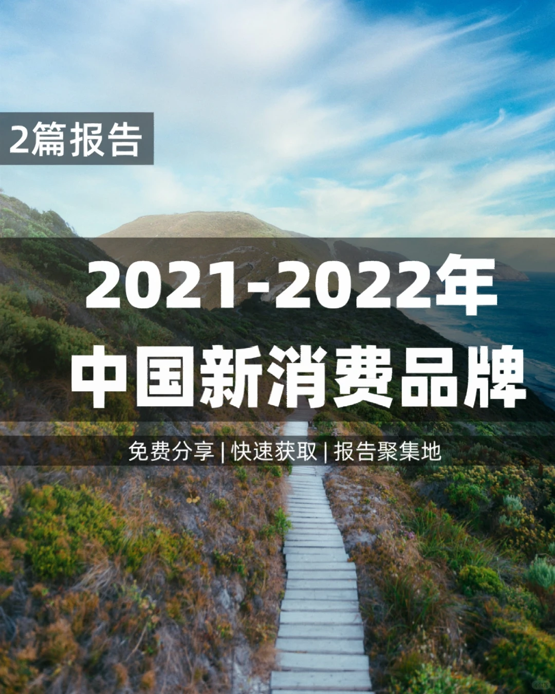 2篇 | 2022年中国消费品牌发展趋势