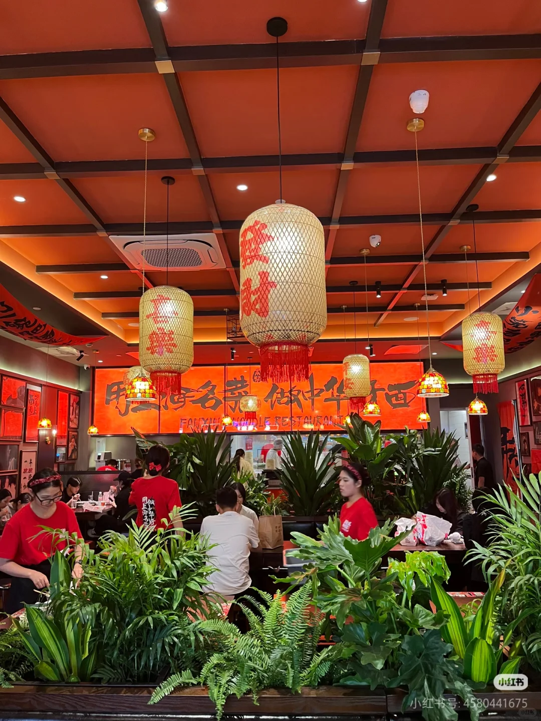 一碗面凭什么卖四五十？！