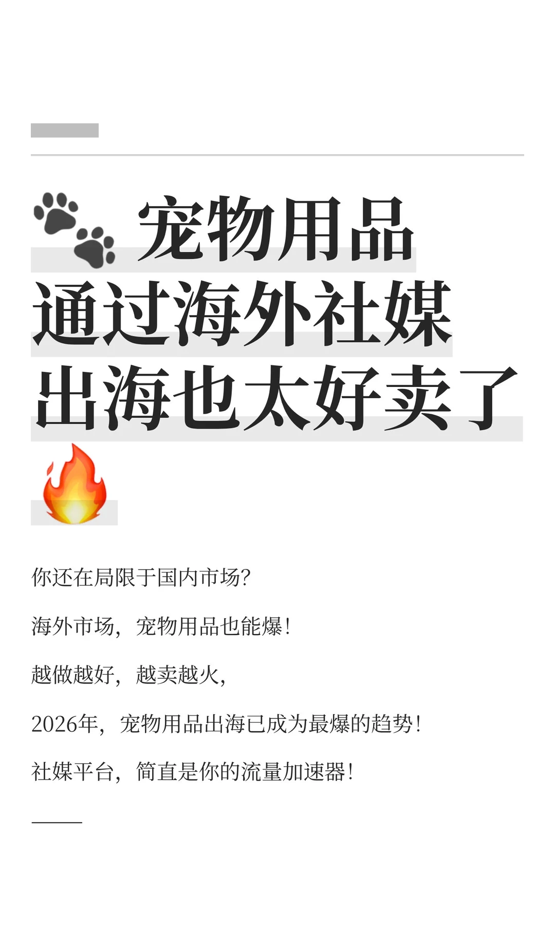 ? 宠物用品通过海外社媒出海也太好卖了