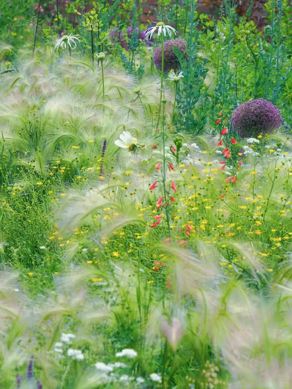 金钱心理学《财经日报2025.12.17》分享