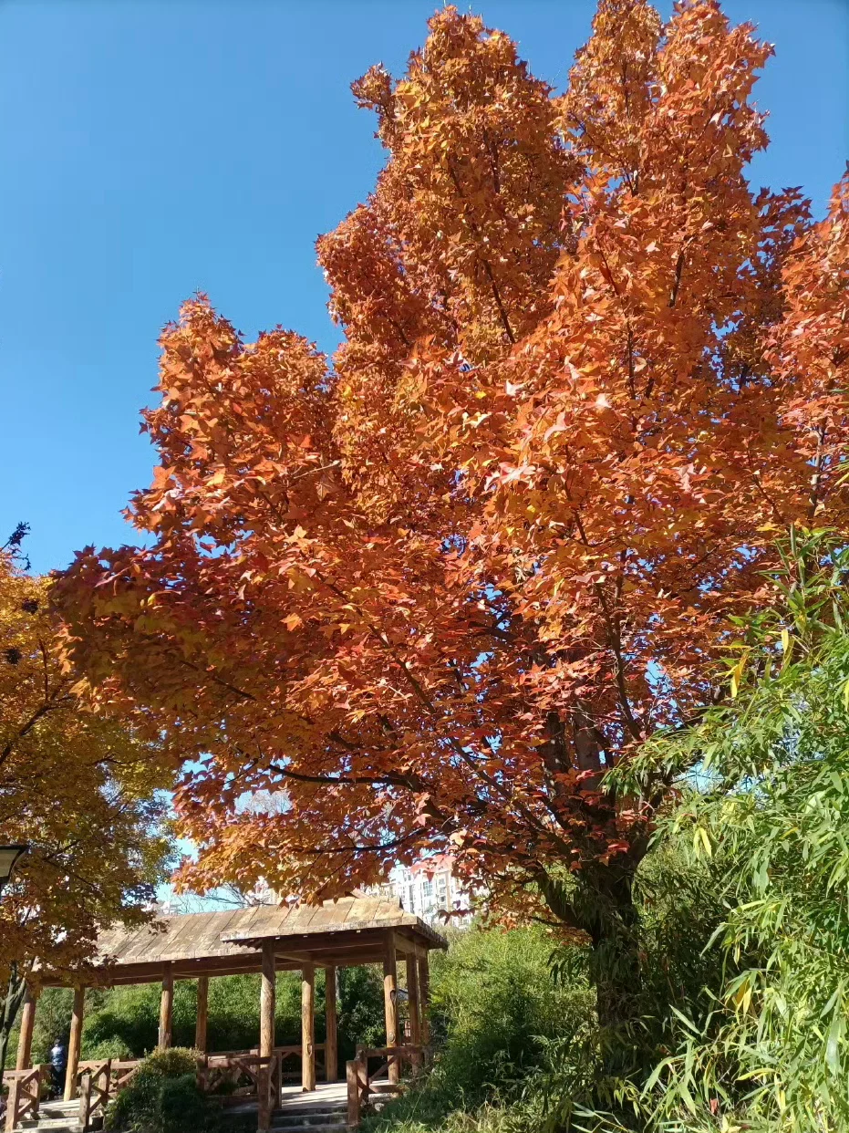 金钱心理学《财经日报2025.12.17》分享