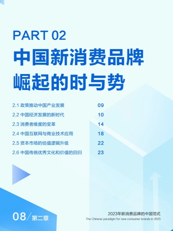 报告6丨2023新消费品牌的中国范式60页