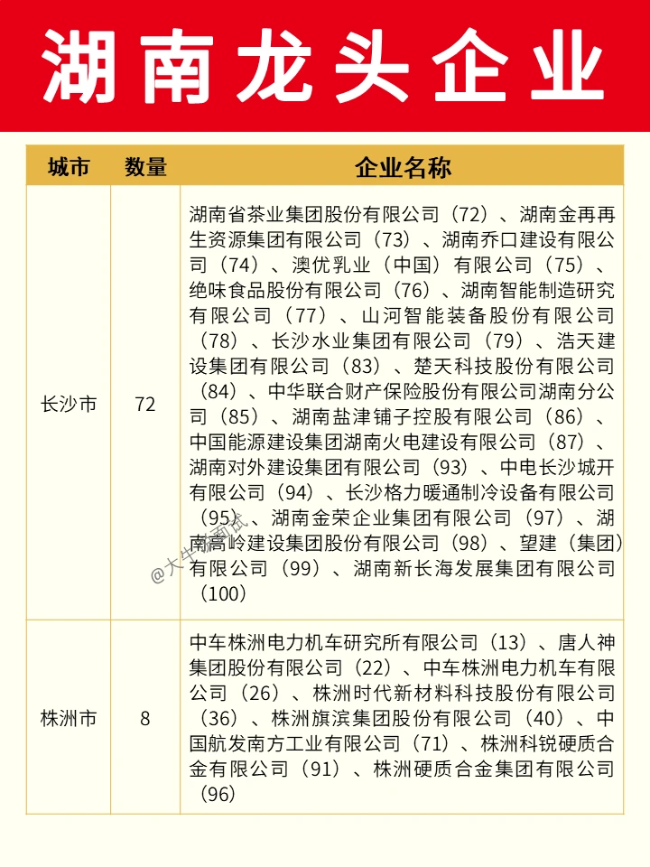 湖南龙头企业❗
