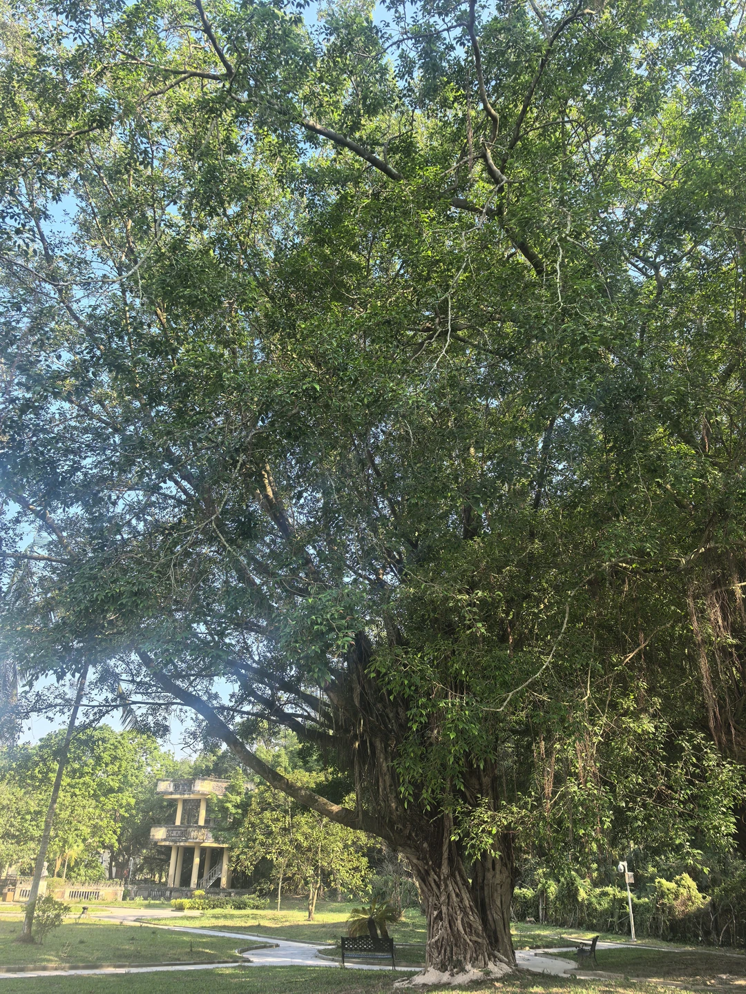 猎头五年：从“坐火箭”到“修渡船”