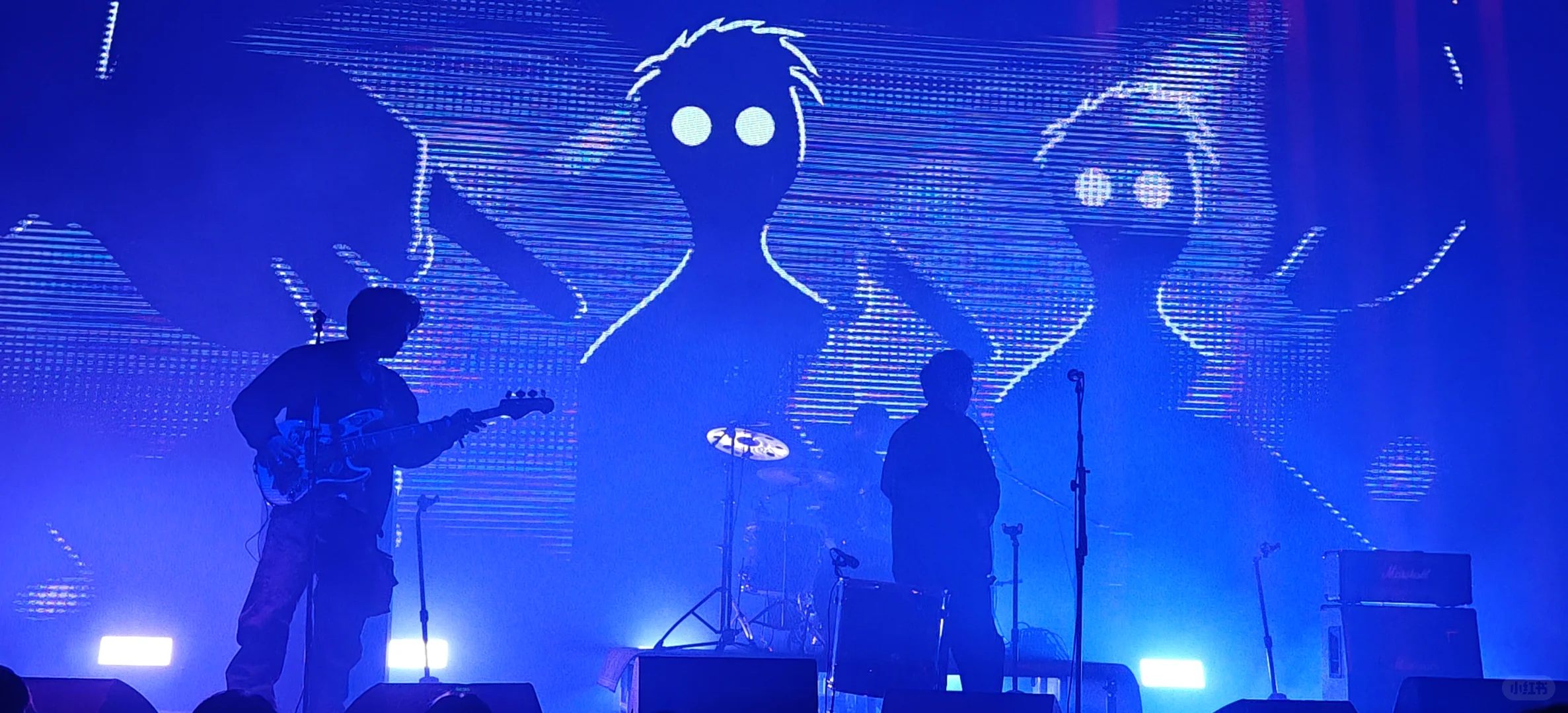 白皮书 北京 按计划执行