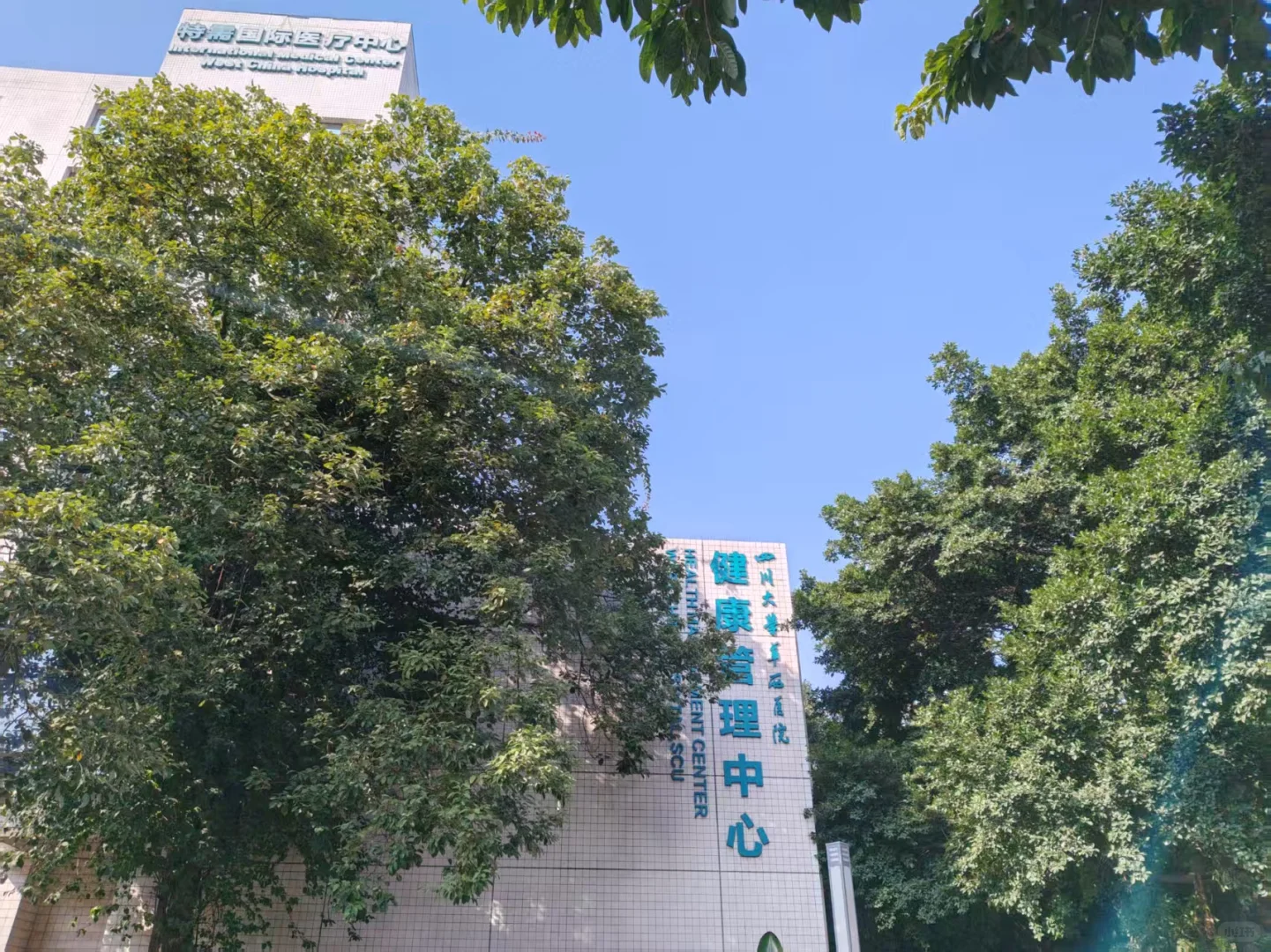 从员工体检报告到就医绿通，我们承包了这家
