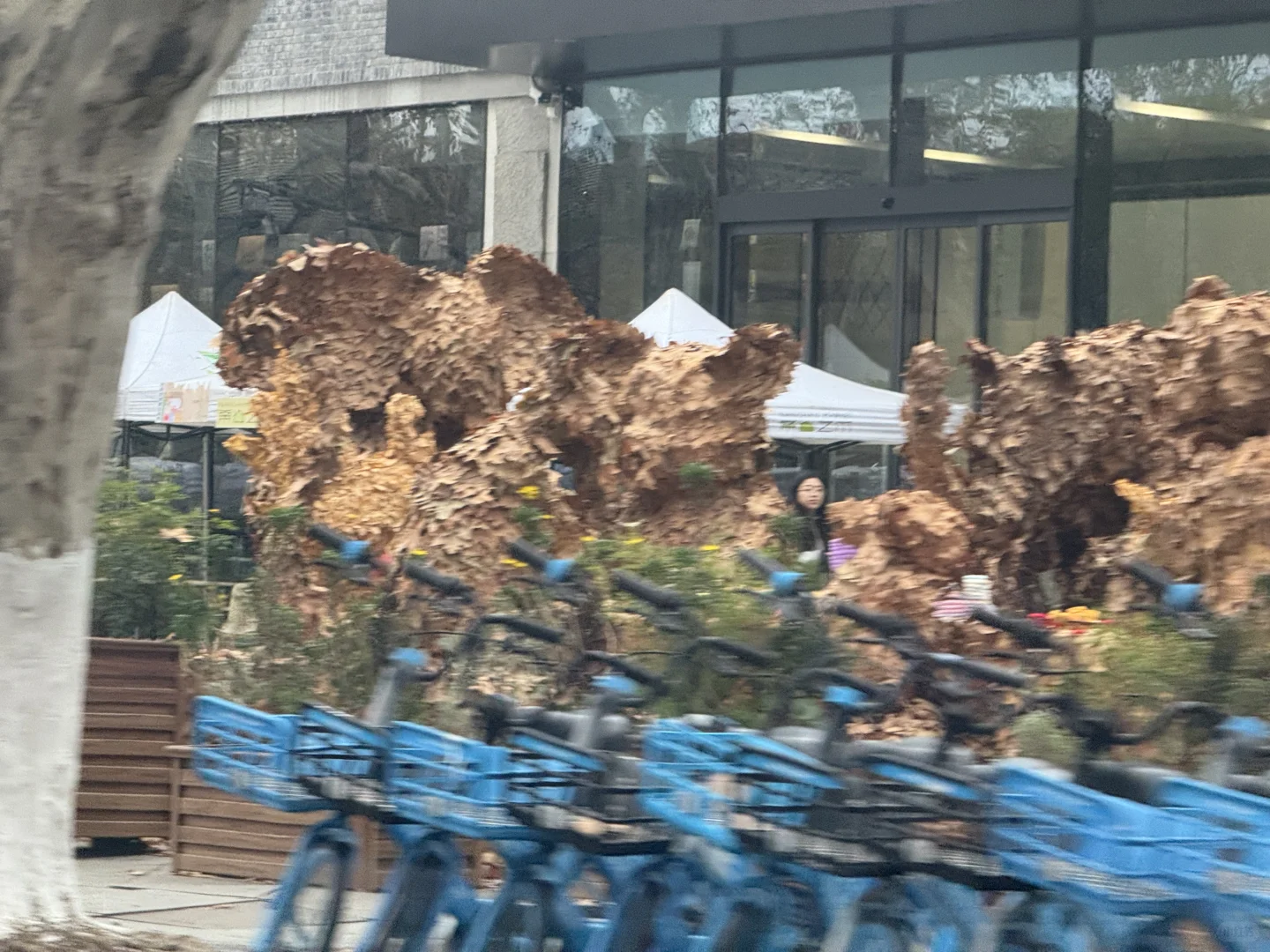 一年一度美院秋叶艺术节又开始啦