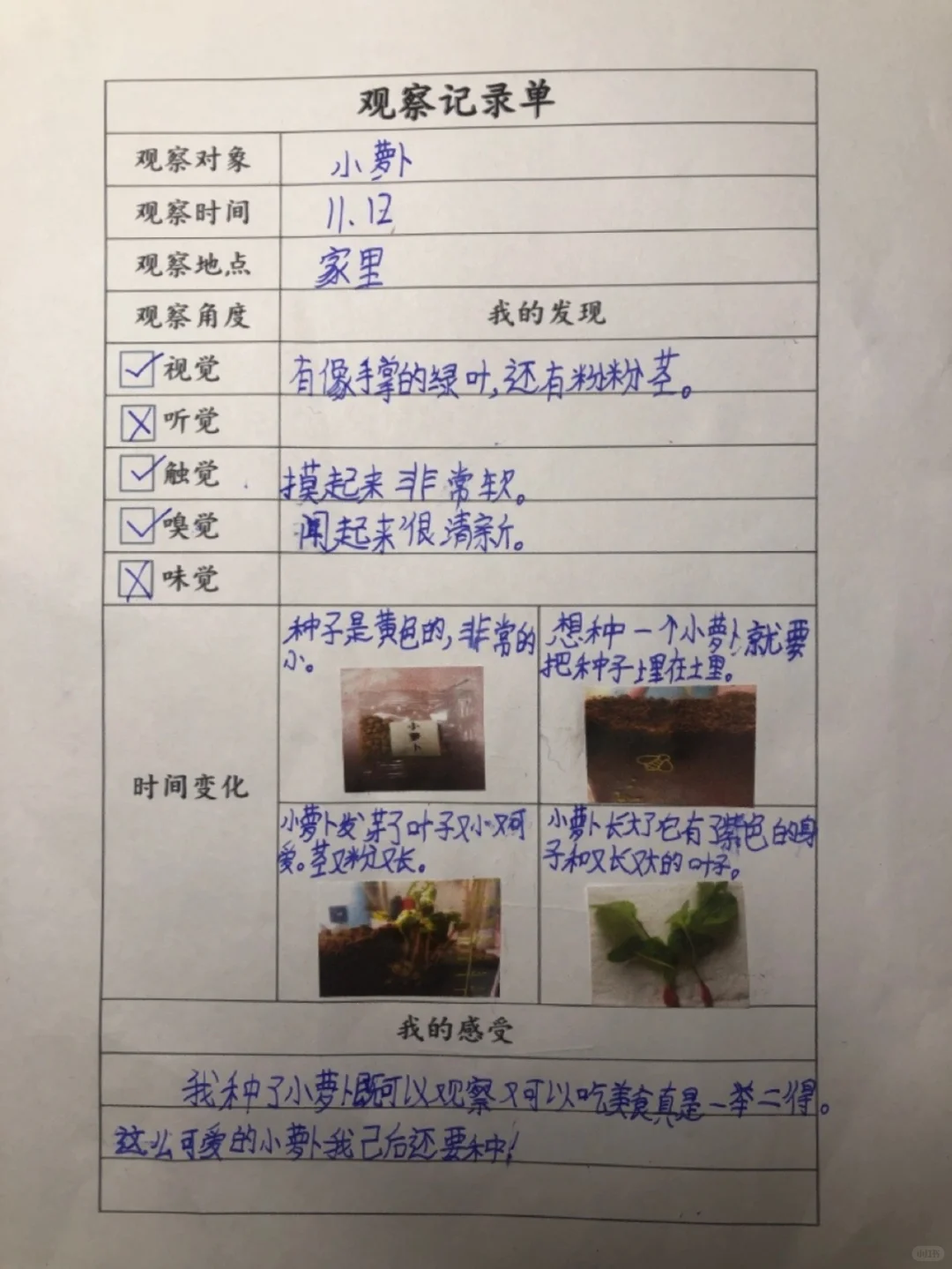 三上五单元观察记录单