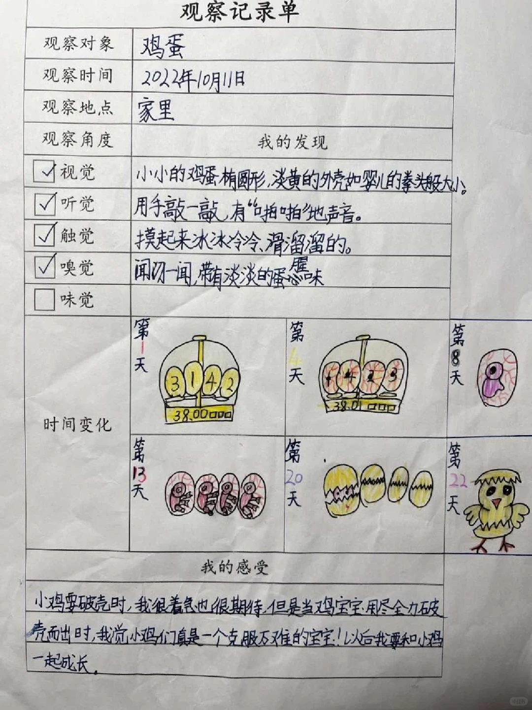 三上五单元观察记录单