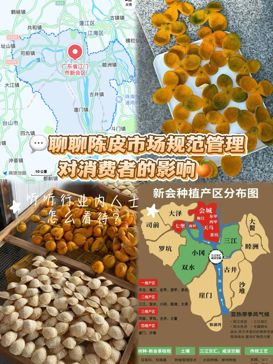 ?陈皮市场规范：什么是新会陈皮？