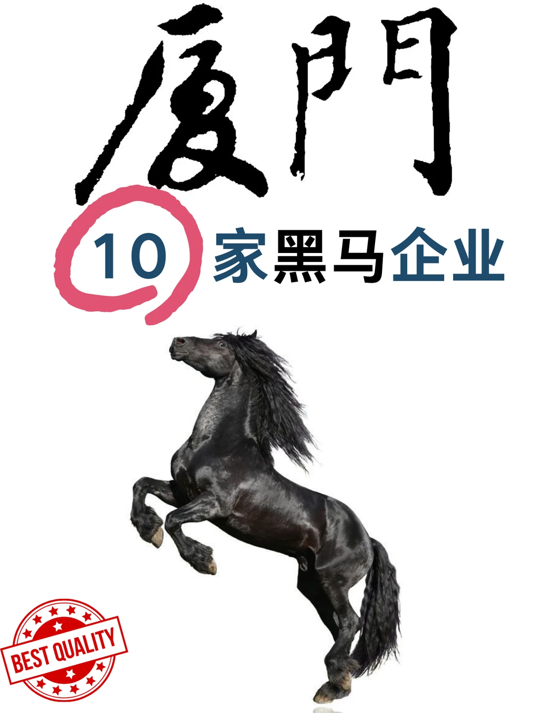 厦门这10家黑马企业，太赞了！极具潜力！