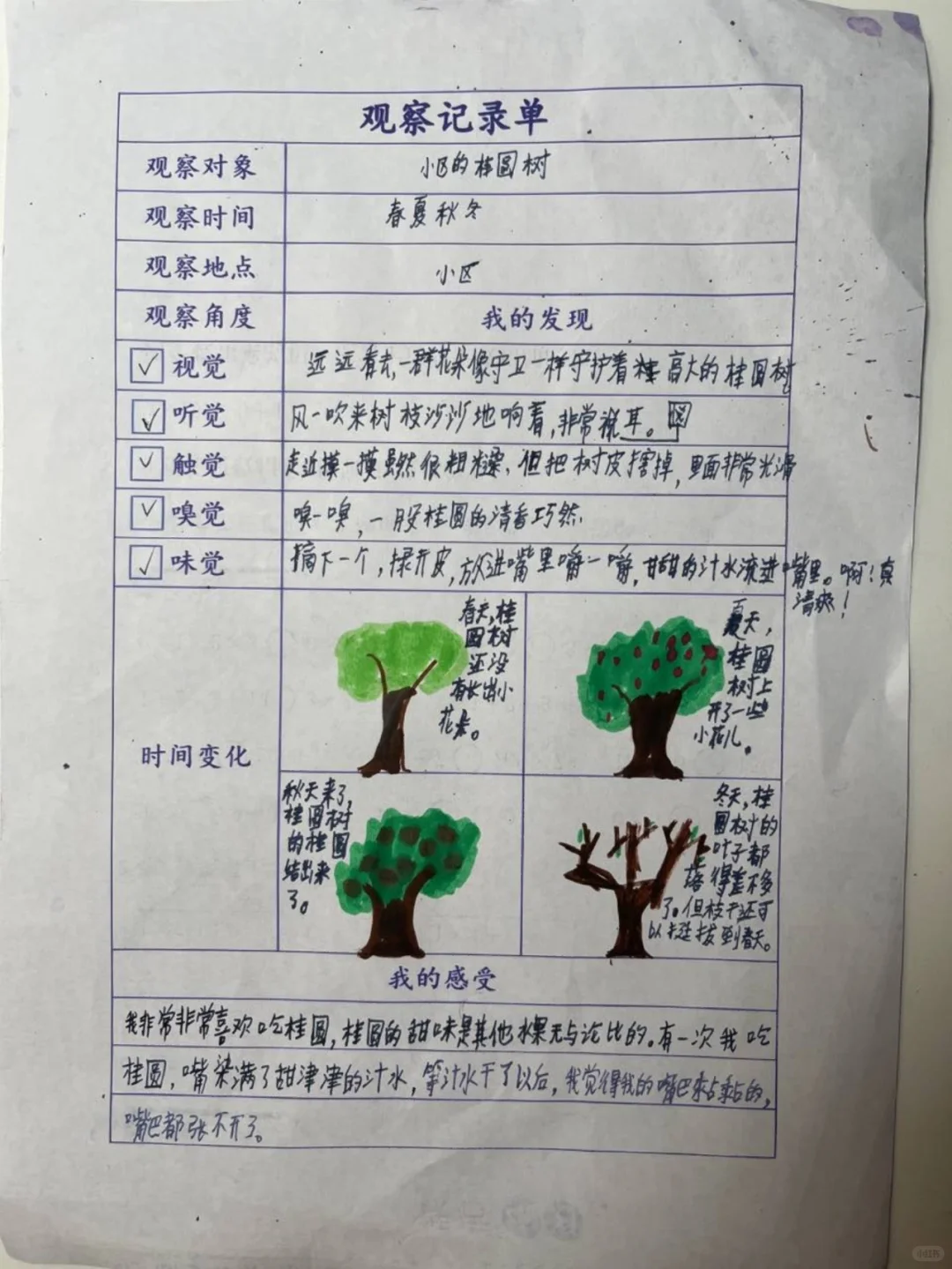 三上五单元观察记录单