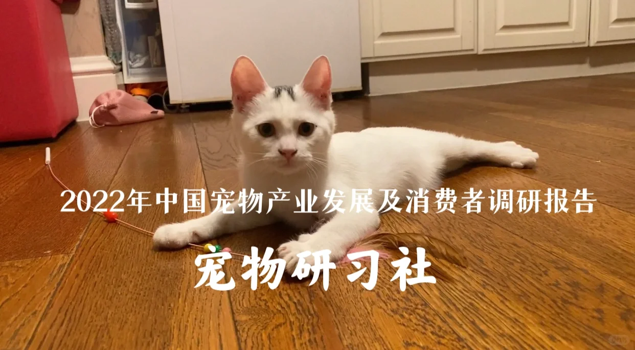 2022年中国宠物产业发展及消费者调研报告