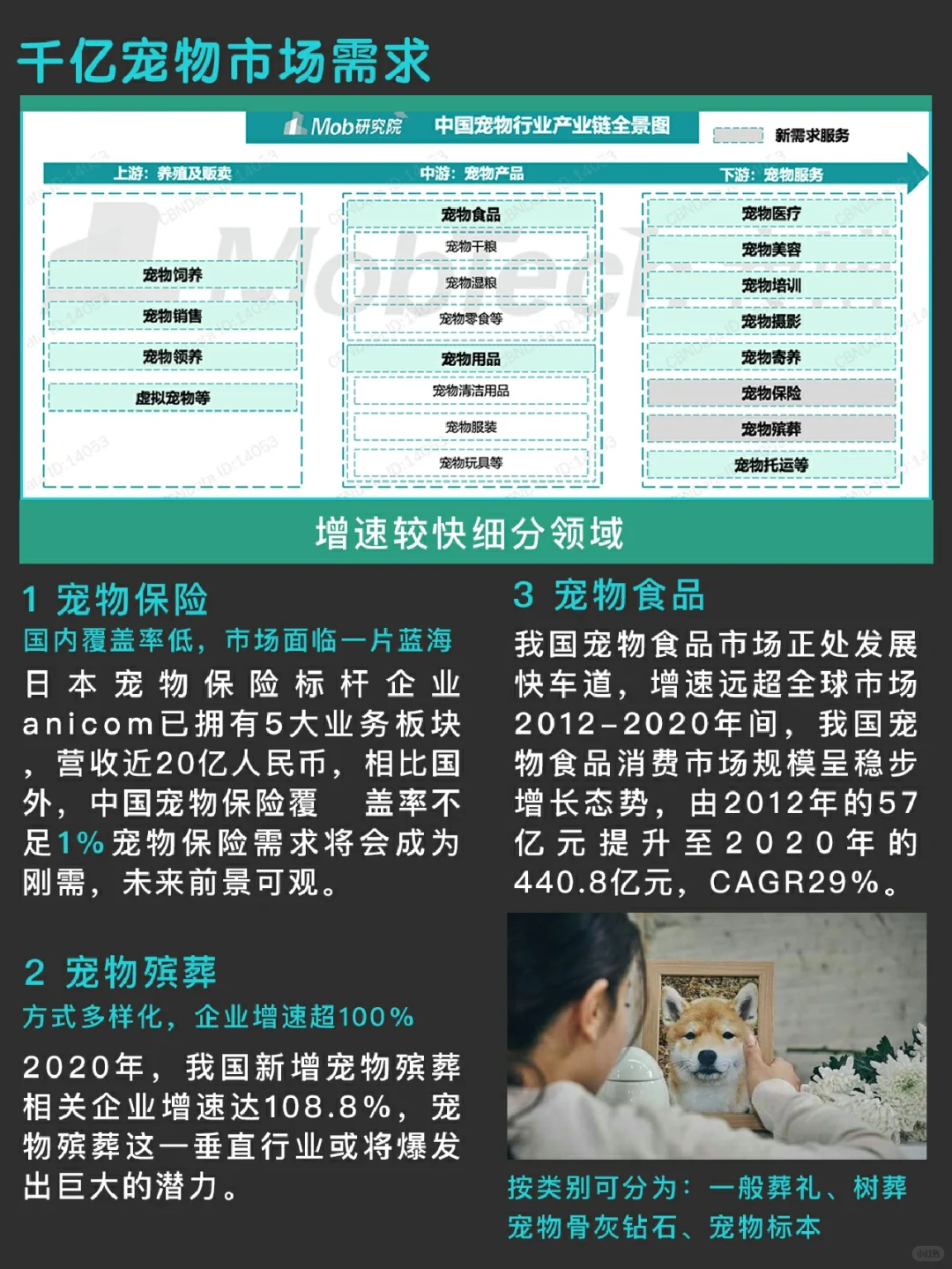 一篇笔记看懂千亿宠物?消费风口?