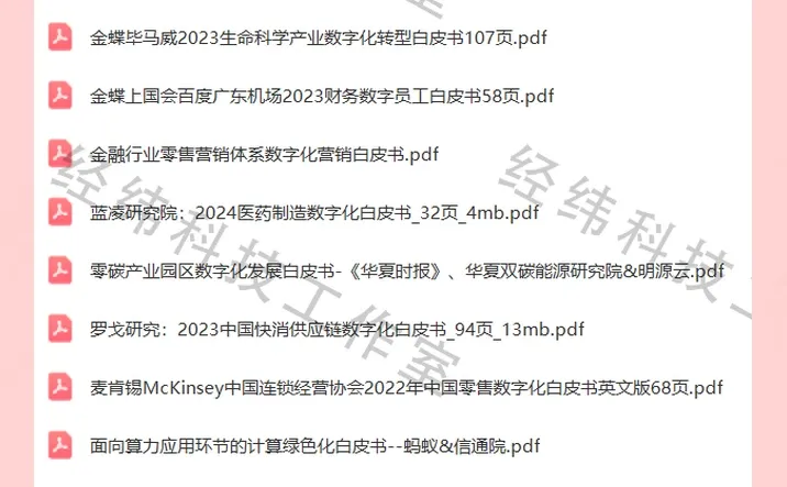 2024企业数字化转型研究报告白皮书