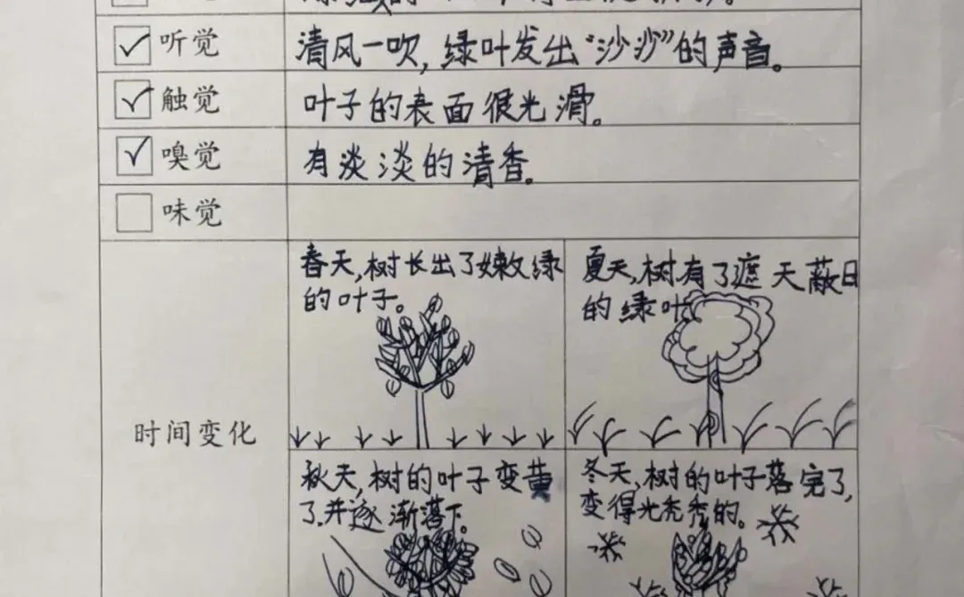 三上五单元观察记录单