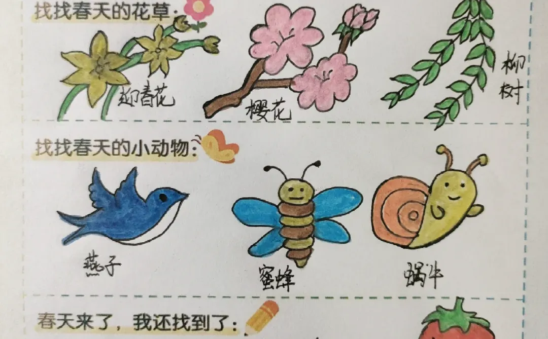 幼儿园调查表之寻找春天