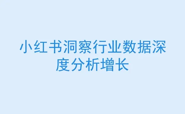 小红书洞察行业数据深度分析增长