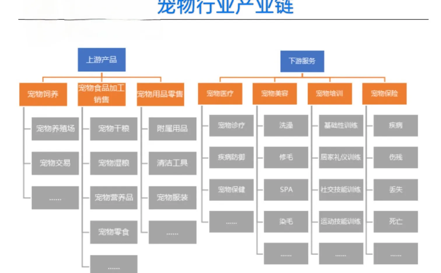 宠物行业产业链你处在哪个环节？