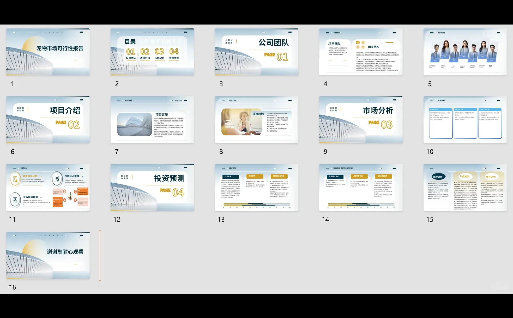 宠物药品市场可行性报告PPT+WORD✨
