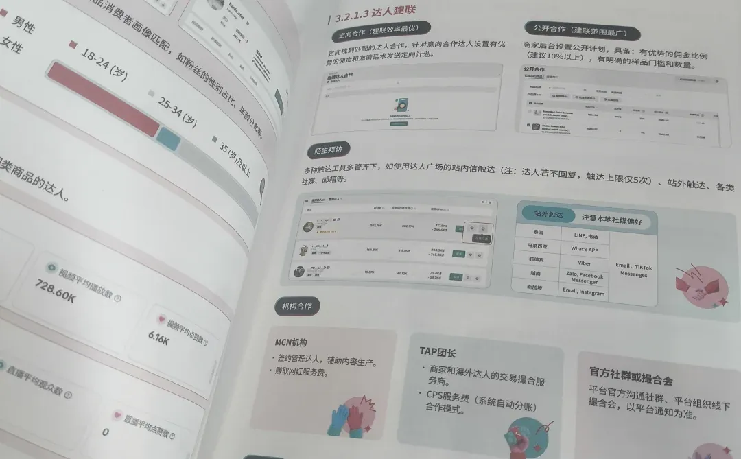 东南亚白皮书，白皮书来了