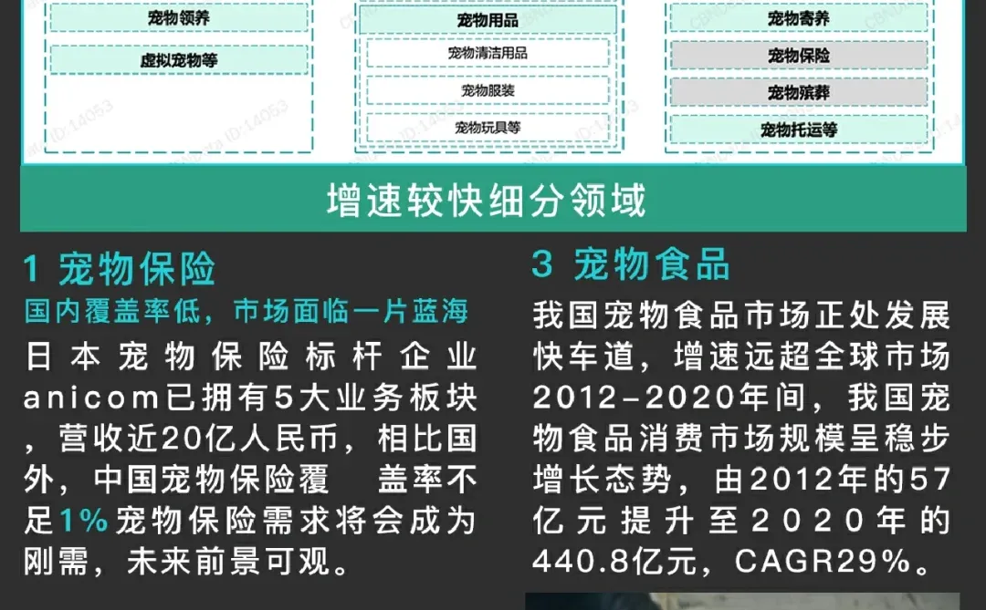 一篇笔记看懂千亿宠物?消费风口?
