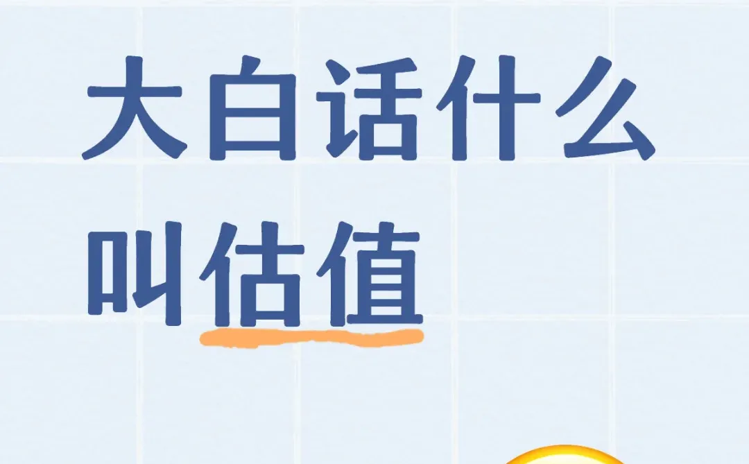 大白话什么叫估值