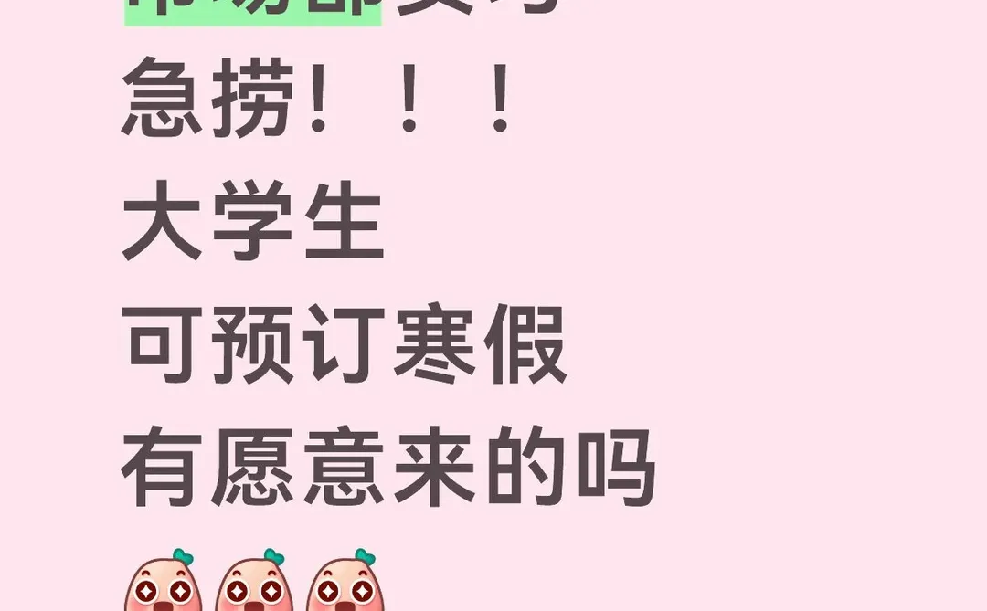 市场部实习，广州，秋招/寒假，150/d