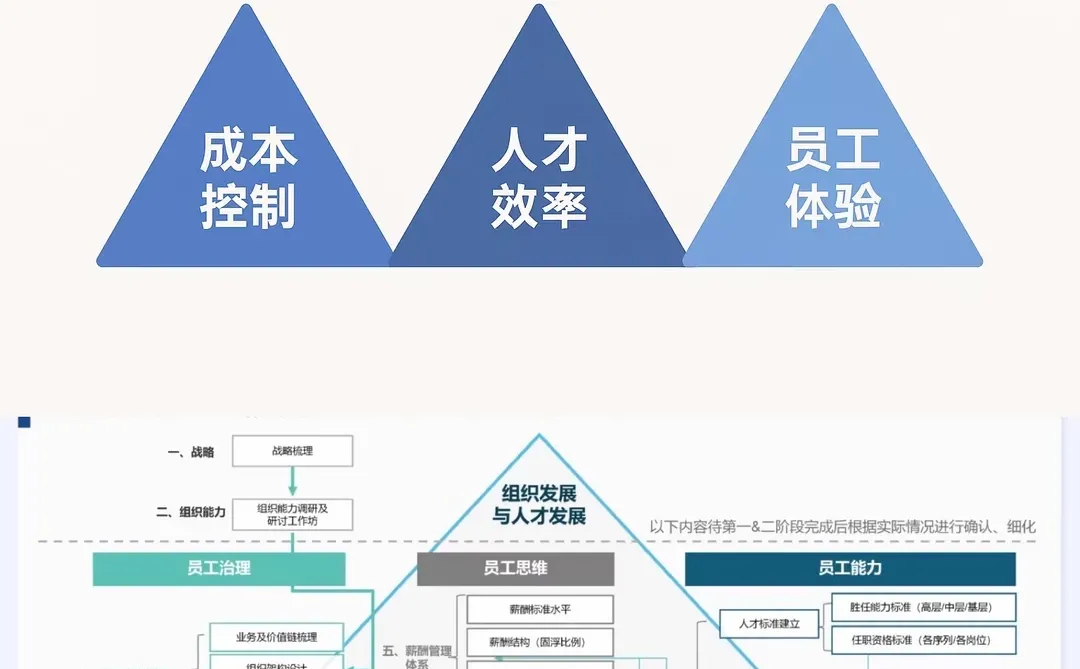 HR岗述职：她没做新事务，只优化了旧工作