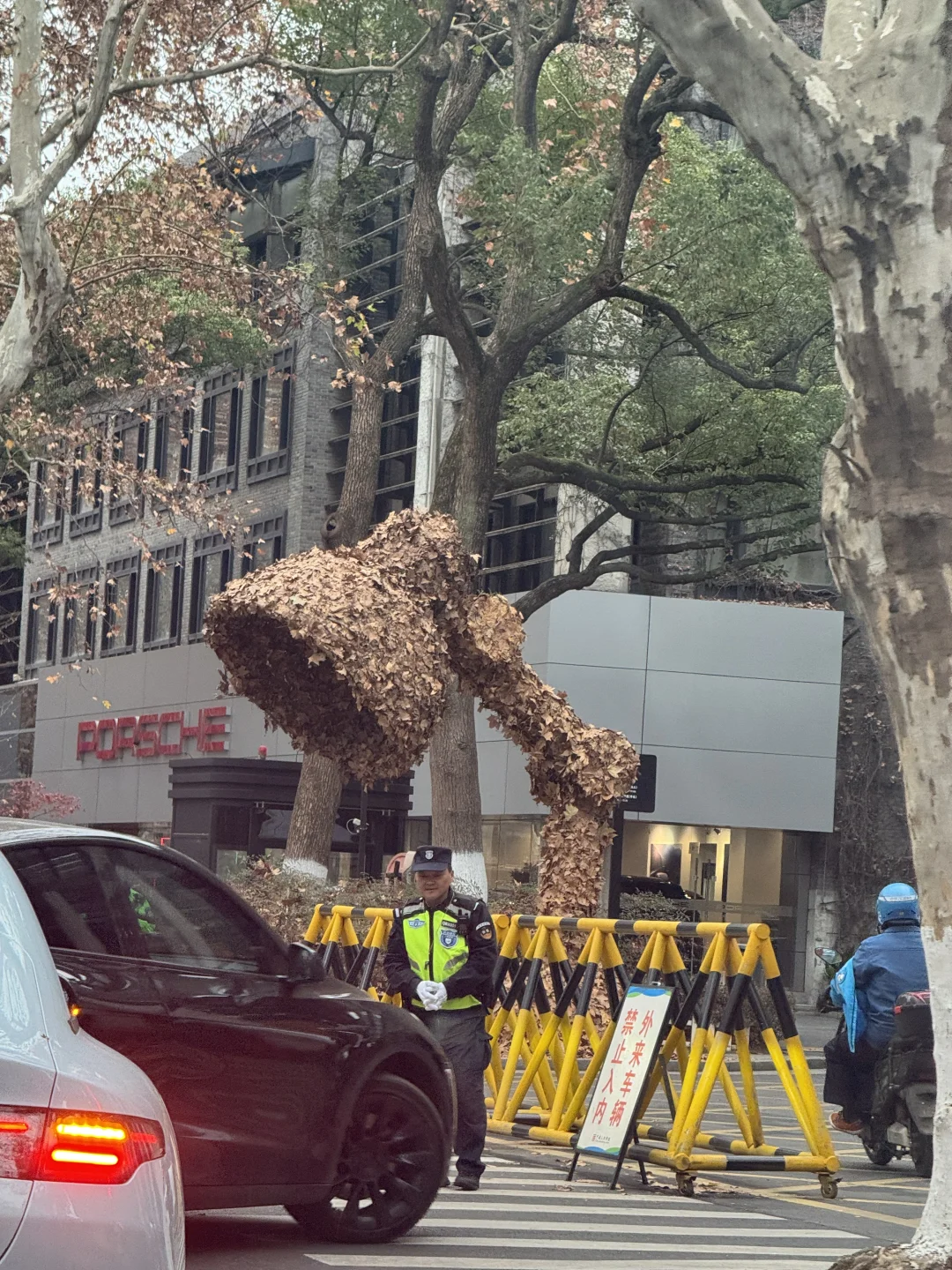一年一度美院秋叶艺术节又开始啦