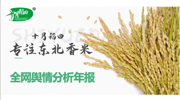 「十月稻田」舆情年报分享「部分展示」